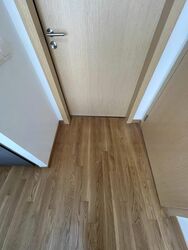 Ascent @ 456 (D12), Apartment #630298081
